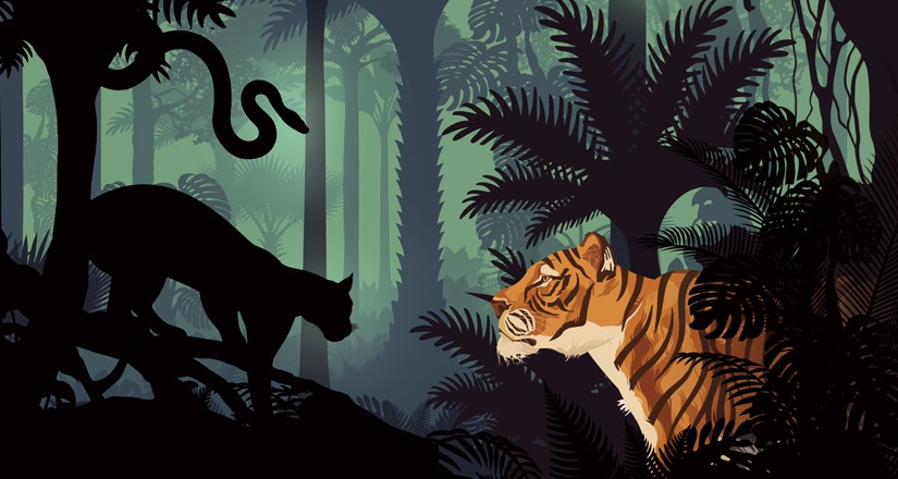 Guest Blog - The Jungle Book