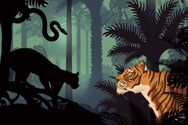 Guest Blog - The Jungle Book