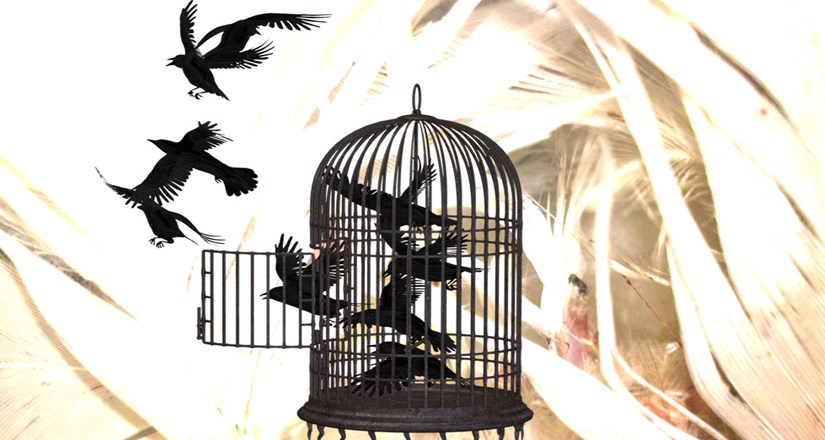 The Cagebirds